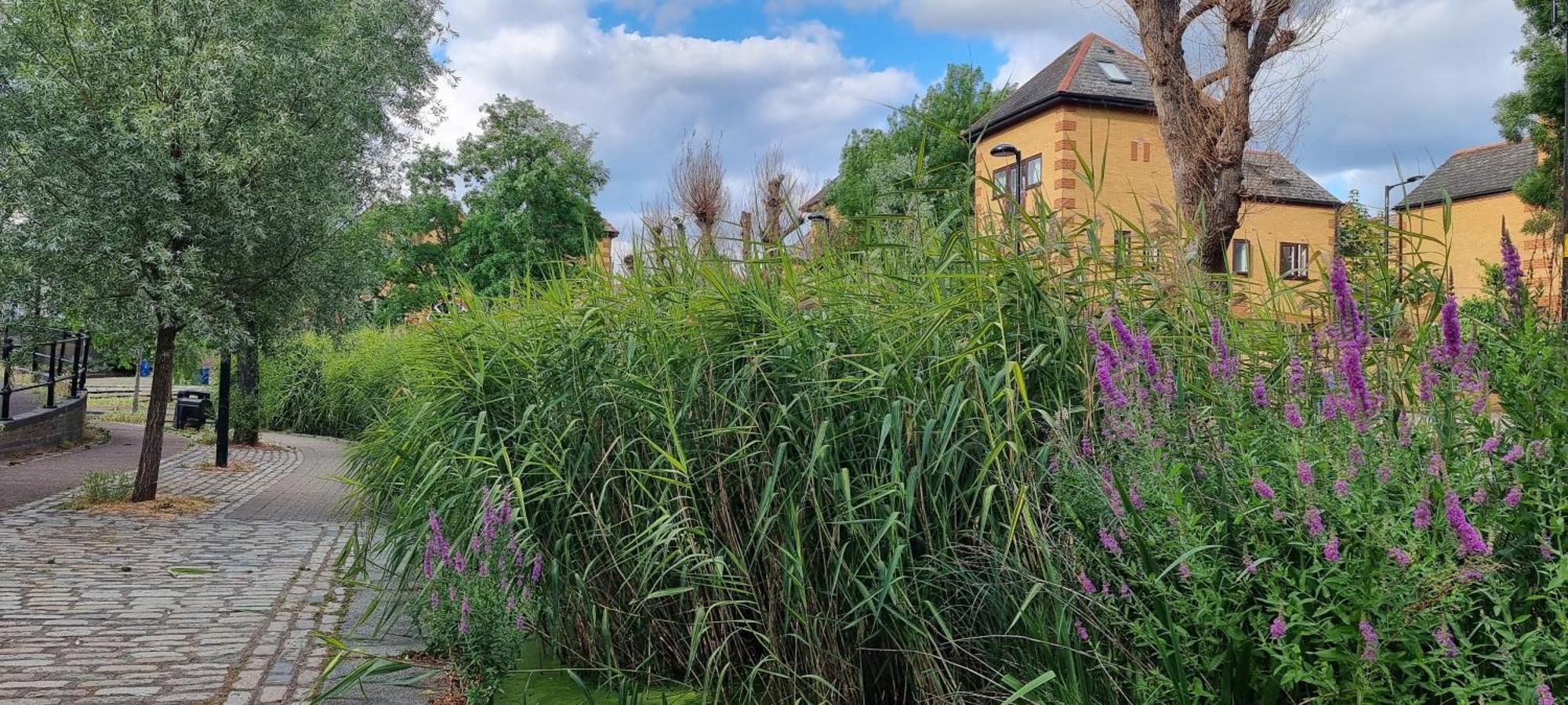 Riverside 3Br With Easy Transport 20Mins To City Centre Londen Buitenkant foto