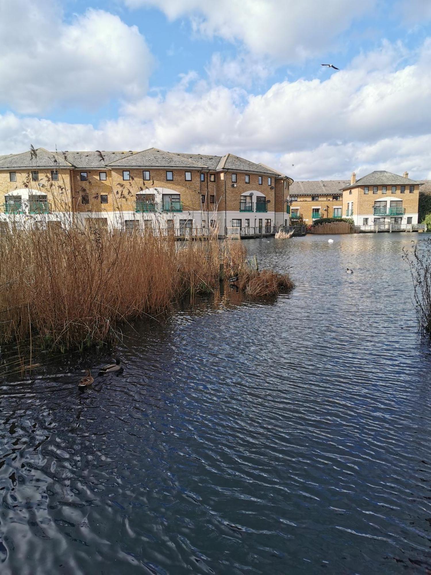Riverside 3Br With Easy Transport 20Mins To City Centre Londen Buitenkant foto